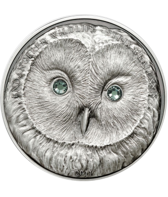 Ural Owl Silver 2011