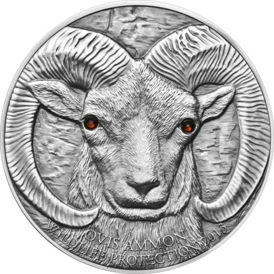Argali – Ovis ammon silver coin 2013