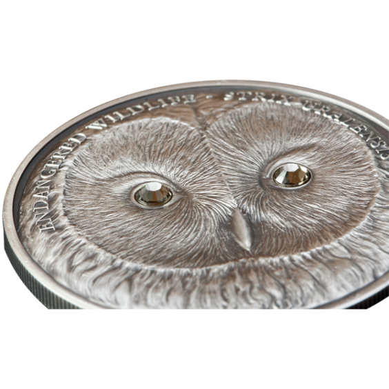 Ural Owl Silver 2011