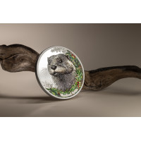 Woodland Spirits: Otter – 2025 1 oz Silver Proof Coin Coloured Design | CIT Mint | Limited to 1,500 Worldwide