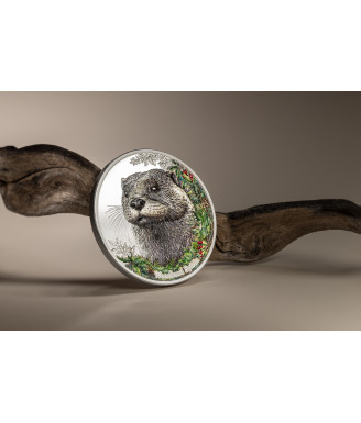 Woodland Spirits: Otter – 2025 1 oz Silver Proof Coin Coloured Design | CIT Mint | Limited to 1,500 Worldwide