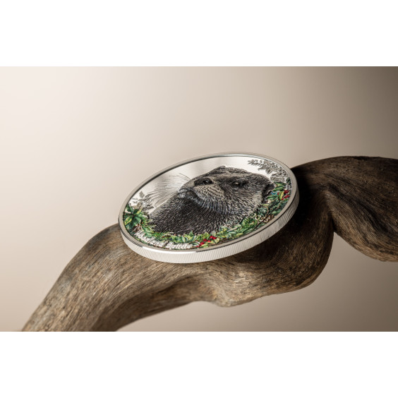 Woodland Spirits: Otter – 2025 1 oz Silver Proof Coin Coloured Design | CIT Mint | Limited to 1,500 Worldwide