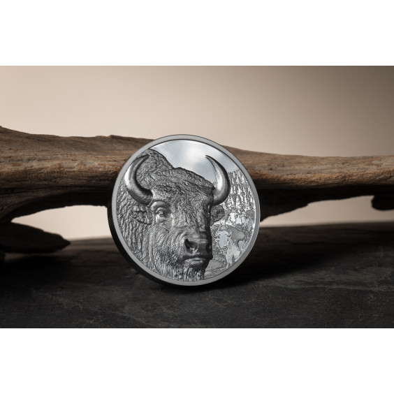 Wild Mongolia: Bison – 2025 2 oz Silver Coin Smartminting® Ultra High Relief | Antique Finish