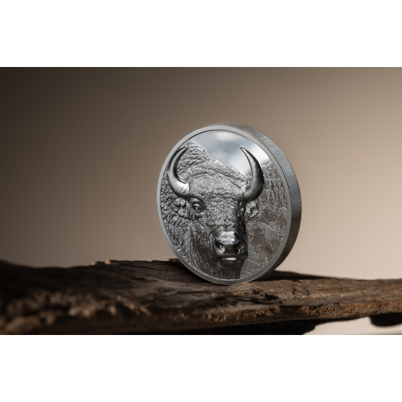 Wild Mongolia: Bison – 2025 2 oz Silver Coin Smartminting® Ultra High Relief | Antique Finish