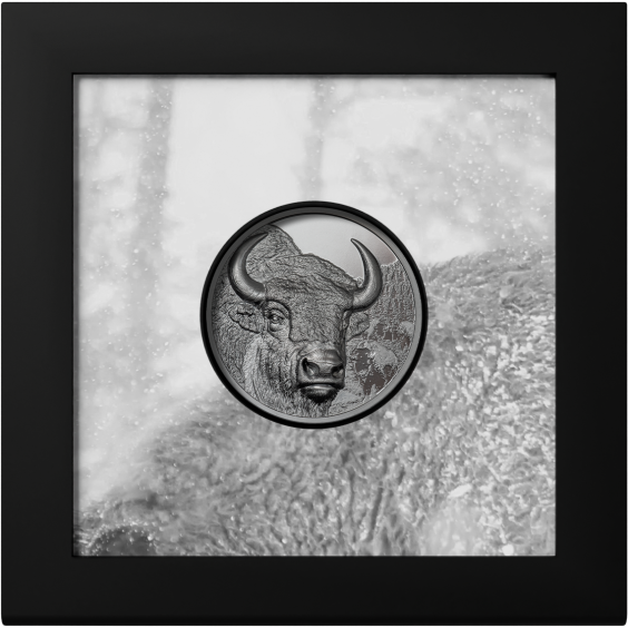 Wild Mongolia: Bison – 2025 2 oz Silver Coin Smartminting® Ultra High Relief | Antique Finish