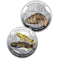 Ukrainian Marine Wildlife: Hermit Crab & Goby Fish in Souvenir Folder