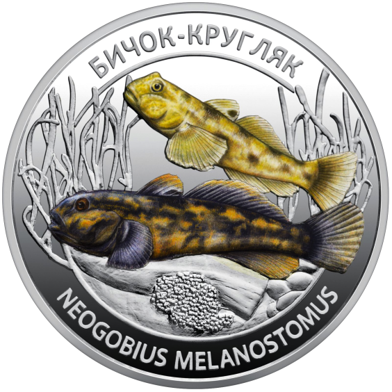 Ukrainian Marine Wildlife: Hermit Crab & Goby Fish in Souvenir Folder Ukrainian Marine Wildlife: Hermit Crab & Goby Fish in Souvenir Folder