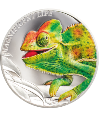Chameleon – Magnificent Life
