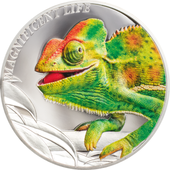 Chameleon – Magnificent Life