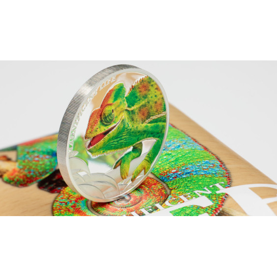 Chameleon – Magnificent Life