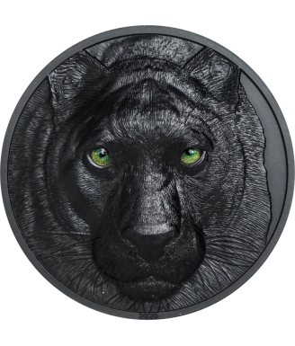 Black Panther – Hunters by Night