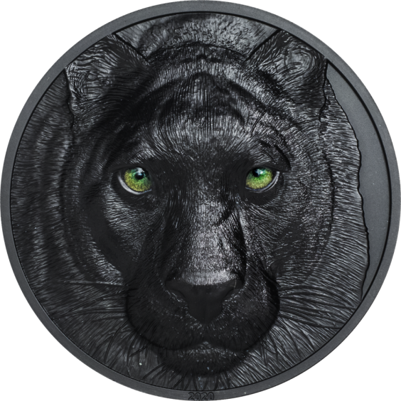 Black Panther – Hunters by Night