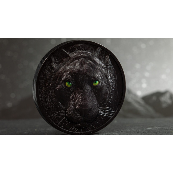Black Panther – Hunters by Night